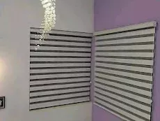 Zebra Roller Blinds Across Residential Rooms